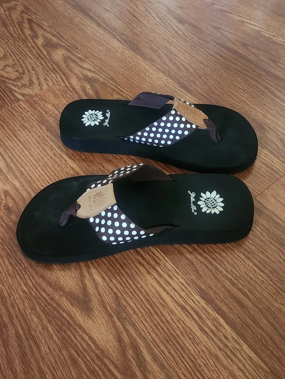 Yellow Box Polka Dot Thong Sandals in Brown and White - Picture 3 of 4